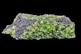 Peridot in Basalt - Arizona #154372-1